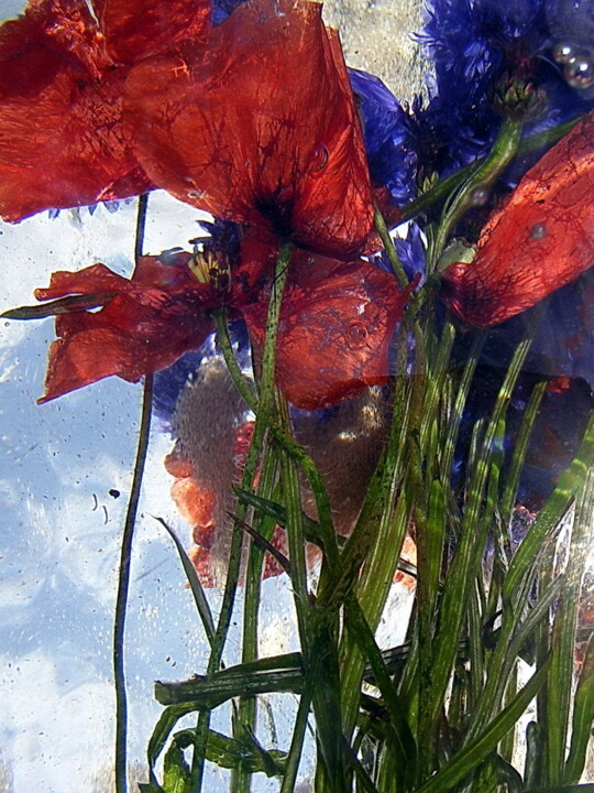 Photographie intitulée "bleuets et rouges" par Aquartistiq, Œuvre d'art originale, Photographie numérique