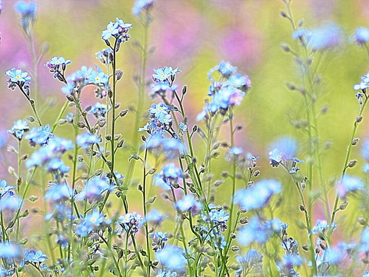 Photographie intitulée "du bleu." par Aquartistiq, Œuvre d'art originale, Photographie numérique