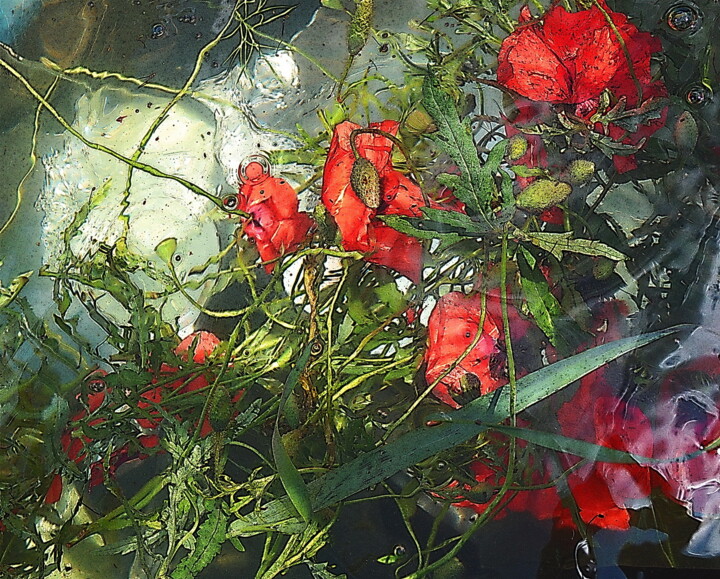 Fotografia intitolato "eau et fleurs." da Aquartistiq, Opera d'arte originale, Fotografia digitale