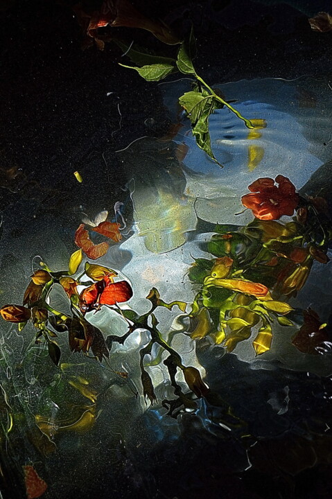 Fotografie mit dem Titel "mystère" von Aquartistiq, Original-Kunstwerk, Digitale Fotografie