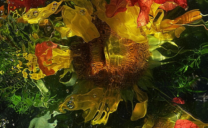 Photographie intitulée "aqua relle" par Aquartistiq, Œuvre d'art originale, Photographie numérique