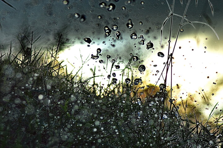 Fotografie mit dem Titel "o de pluie" von Aquartistiq, Original-Kunstwerk, Digitale Fotografie