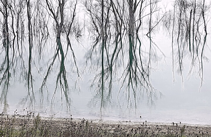 Fotografía titulada "eau et reflets" por Aquartistiq, Obra de arte original, Fotografía digital