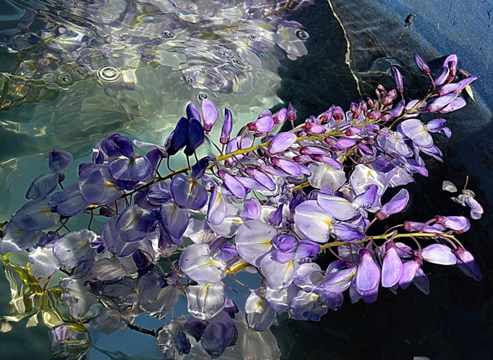 Photography titled "bleu violet" by Aquartistiq, Original Artwork, Digital Photography