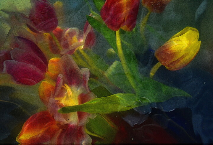 Photography titled "quelques tulipes" by Aquartistiq, Original Artwork, Digital Photography
