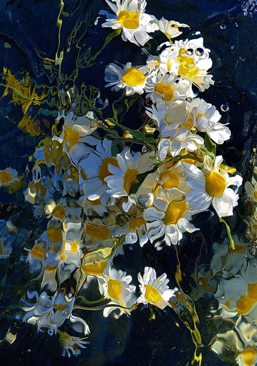 Photographie intitulée "les marguerites" par Aquartistiq, Œuvre d'art originale, Photographie numérique