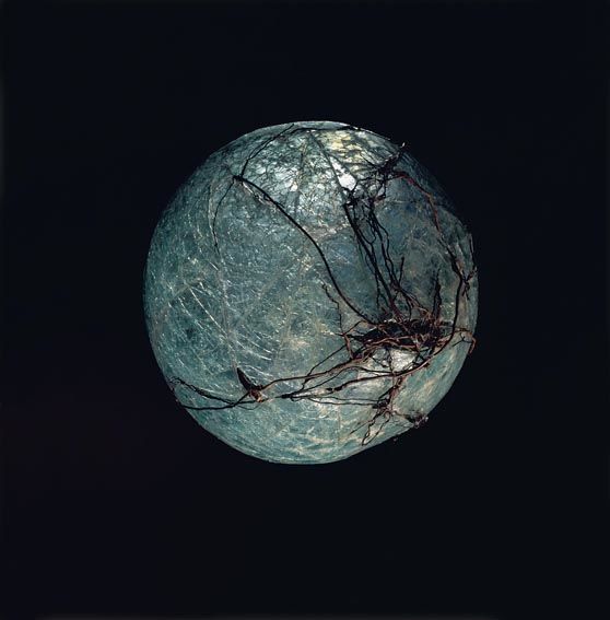 Scultura intitolato "Ese fragil equilibr…" da Claudia Aranovich, Opera d'arte originale