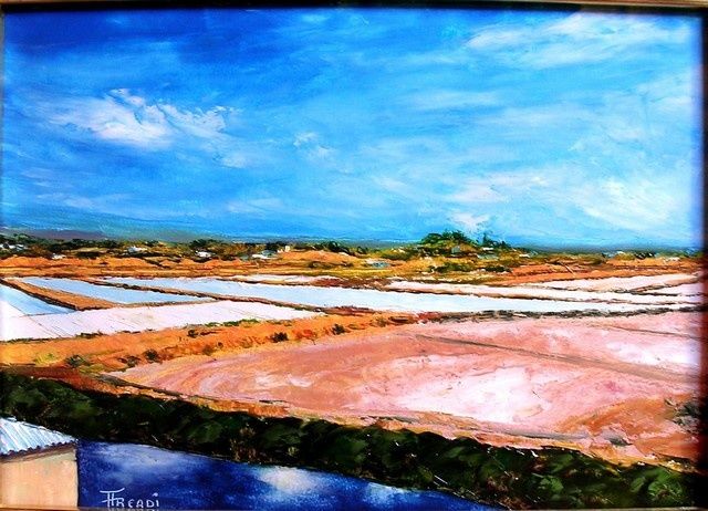 Painting titled "Salins au Portugal" by Dominique Arcadipane (ARCADI), Original Artwork