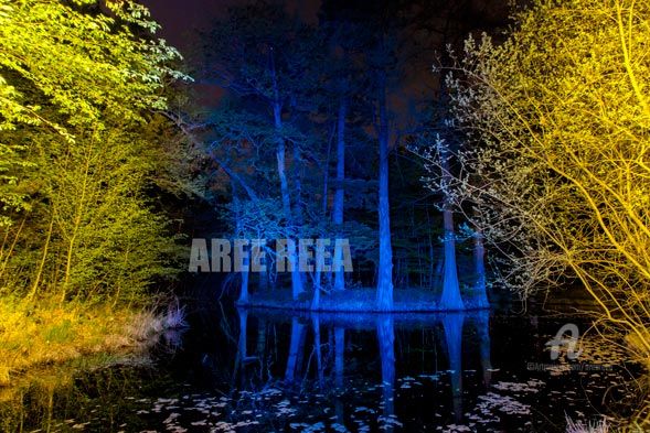 Photography titled "Anomalies Ordinaire…" by Aree Reea, Original Artwork