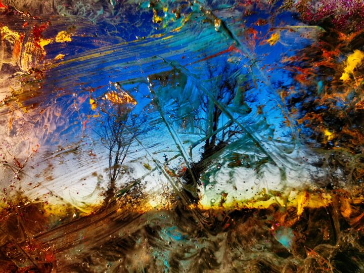 Photography titled "les arbres tiennent" by Arélec, Original Artwork, Manipulated Photography