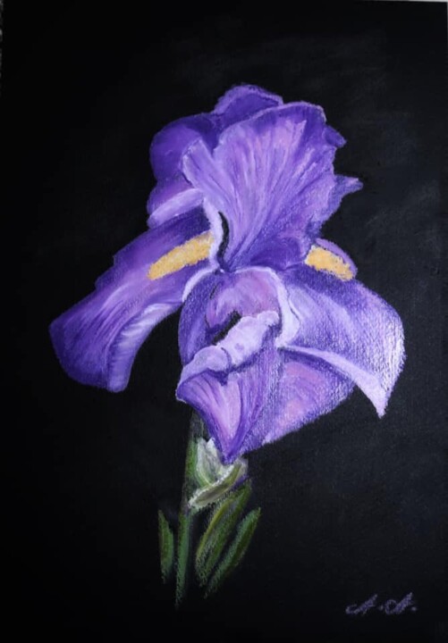 「Iris」というタイトルの絵画 Aria Artisによって, オリジナルのアートワーク, チョーク