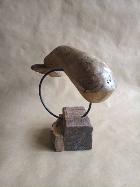 Sculptuur getiteld "La balena del bosco" door Ariadne Dombrovszki, Origineel Kunstwerk, Hout