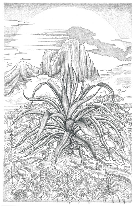 Dibujo titulada "agave poderoso  -th…" por Ariel Valencia Navarro, Obra de arte original, Pluma de gel