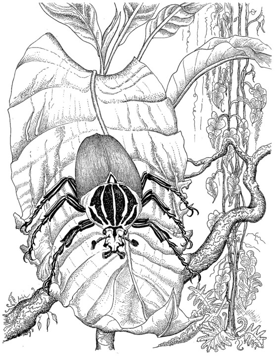 Dessin intitulée "an scarab goliathus…" par Ariel Valencia Navarro, Œuvre d'art originale, Encre