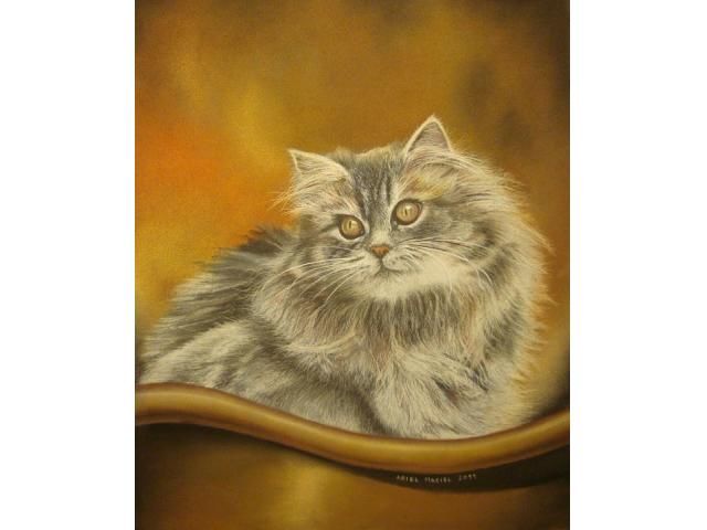 Pintura titulada "Gato" por Ariel Maciel, Obra de arte original