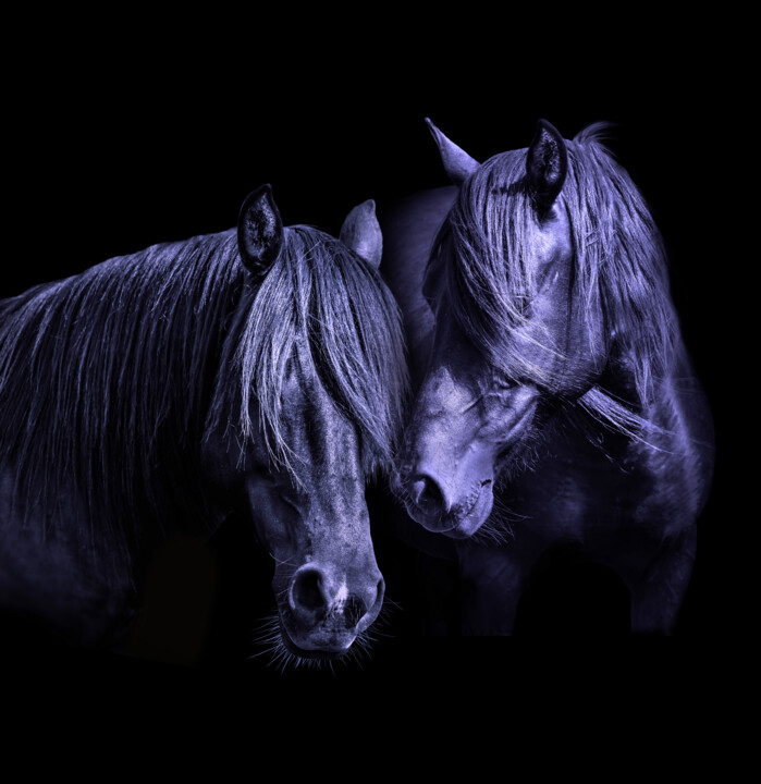 Photographie intitulée "Horses. Portrait ,…" par Arija Paikule, Œuvre d'art originale, Photographie manipulée