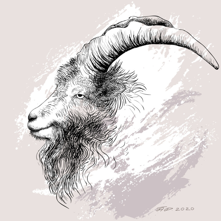 Digital Arts titled "Mountain goat, horn…" by Arija Paikule, Original Artwork, Digital Painting