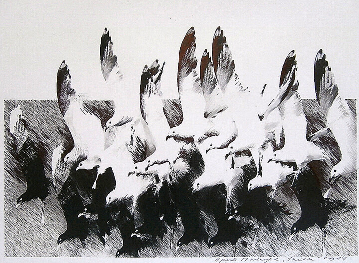 Рисунок под названием "Gulls flying" - Arija Paikule, Подлинное произведение искусства, Карандаш