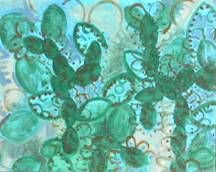 Pittura intitolato "small cactuses" da Maria Irene Vairo, Opera d'arte originale