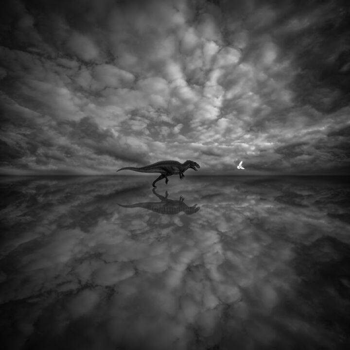 Photographie intitulée "Луч света в тёмном…" par Arkadii Smirnov, Œuvre d'art originale, Photographie manipulée