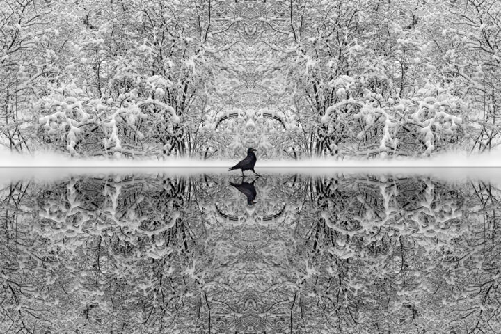 Fotografía titulada "In black and white" por Arkadii Smirnov, Obra de arte original, Fotografía manipulada