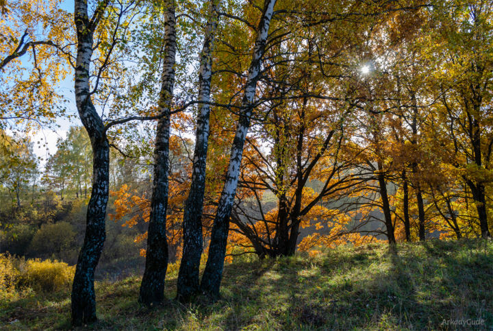 摄影 标题为“Autumn Forest, Land…” 由Arkady Gude, 原创艺术品