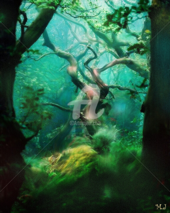 Arts numériques intitulée "The Magic Tree - En…" par Armajay, Œuvre d'art originale, Travail numérique 2D