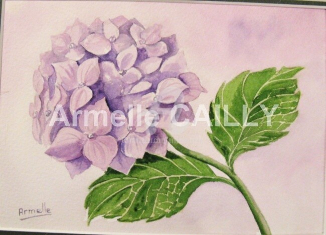 Painting titled "hortensias" by Armelle Cailly, Original Artwork
