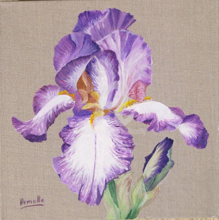 Iris Mauves Et Blancs, Painting by Armelle Cailly (Armelle) | Artmajeur