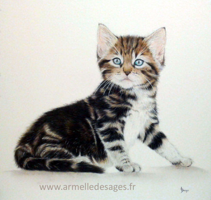 Drawing titled "Chaton" by Armelle Desages, Original Artwork, Pencil