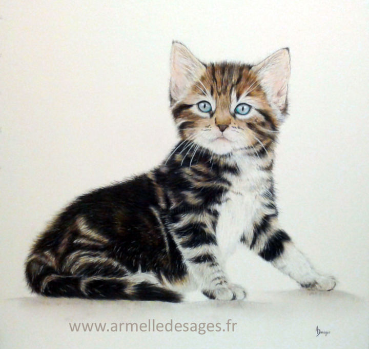 Dessin intitulée "Chaton" par Armelle Desages, Œuvre d'art originale, Crayon