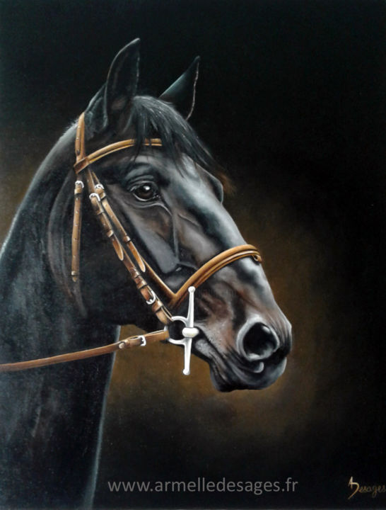 Cheval Noir Painting By Armelle Desages Artmajeur Cheval Noir Painting By Armelle Desages Artmajeur