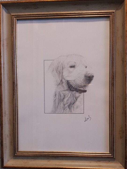 Peinture intitulée "Dog" par Armen Sahakyan, Œuvre d'art originale, Crayon