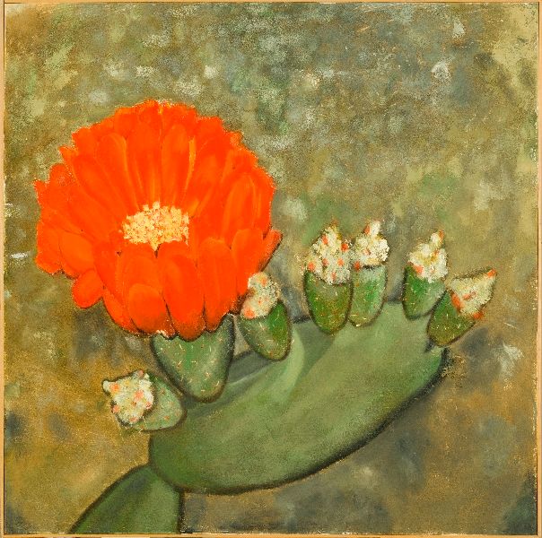 Pintura intitulada "Fiori di Cactus" por Armida "Pupa" Nardi, Obras de arte originais, Óleo