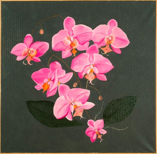 Painting titled "Orchidee Farfalla" by Armida "Pupa" Nardi, Original Artwork, Oil