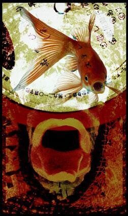 Arts numériques intitulée "singing fish" par Arno Peters, Œuvre d'art originale