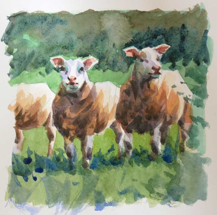 Peinture intitulée "Deux moutons (Aquar…" par Christian Arnould, Œuvre d'art originale, Aquarelle
