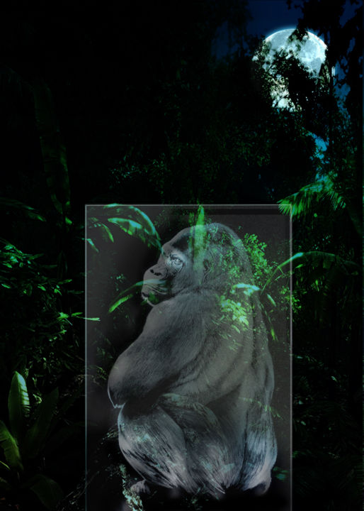 "jungle-gorilla.jpg" başlıklı Baskıresim Glass Hysteria tarafından, Orijinal sanat, Diğer