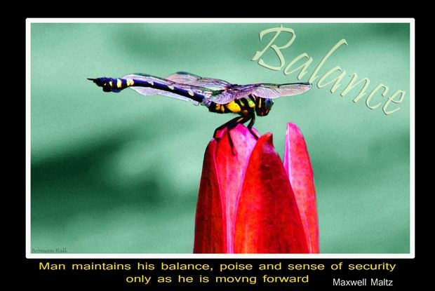Ζωγραφική με τίτλο "Balance" από Art4inspiration, Αυθεντικά έργα τέχνης