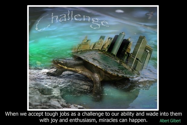 Painting titled "The Turtle Challenge" by Art4inspiration, Original Artwork