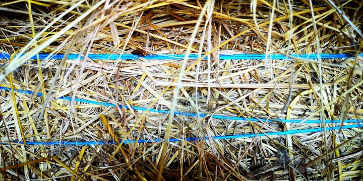 Photographie intitulée "Bleu-paille" par Ludovic Cussigh, Œuvre d'art originale, Photographie numérique