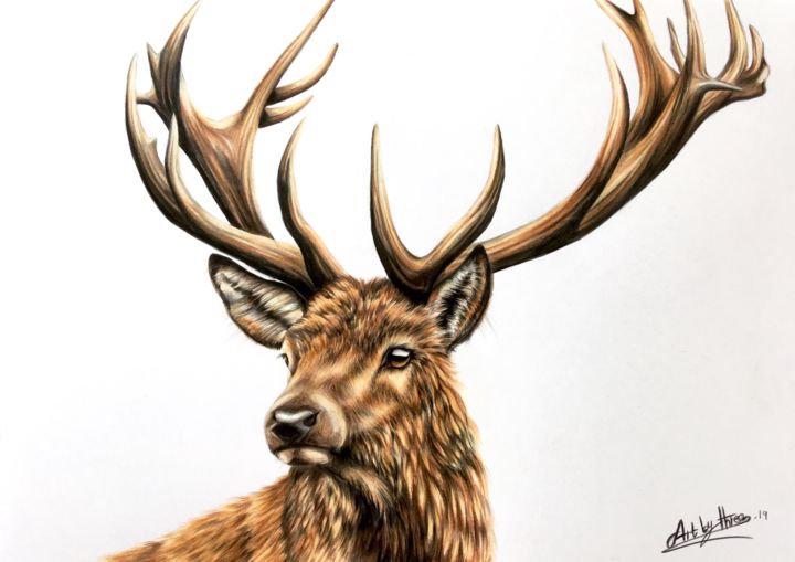 Dessin intitulée "Stag" par Art By Three, Œuvre d'art originale, Crayon