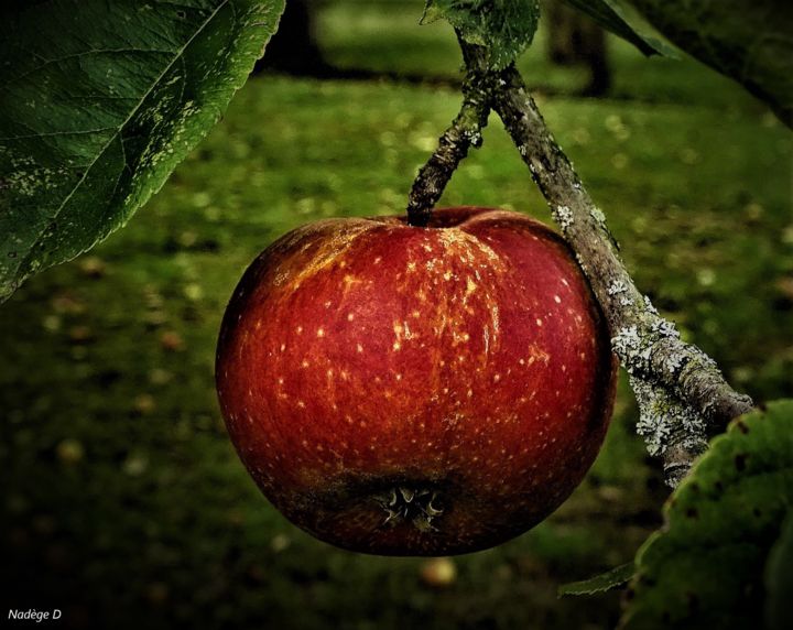 Photography titled "Pomme" by Artcouleur S, Original Artwork, Digital Photography