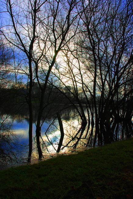 Fotografia zatytułowany „SANS TITRE” autorstwa Christian Geai, Oryginalna praca