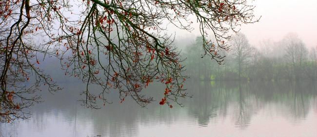 Fotografía titulada "sans titre" por Christian Geai, Obra de arte original