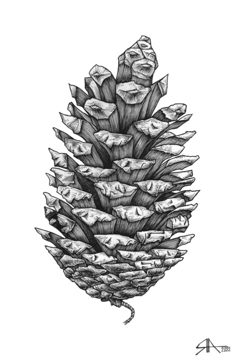 Dessin intitulée "Explosive pinecone" par Artiom Iavorskii, Œuvre d'art originale, Encre