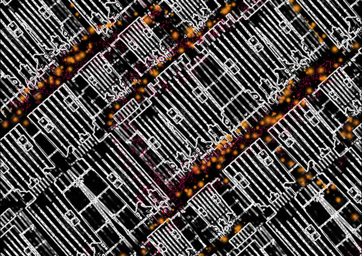 Rising Hope In Insanity Digital Arts By Pascale Manjot Artmajeur