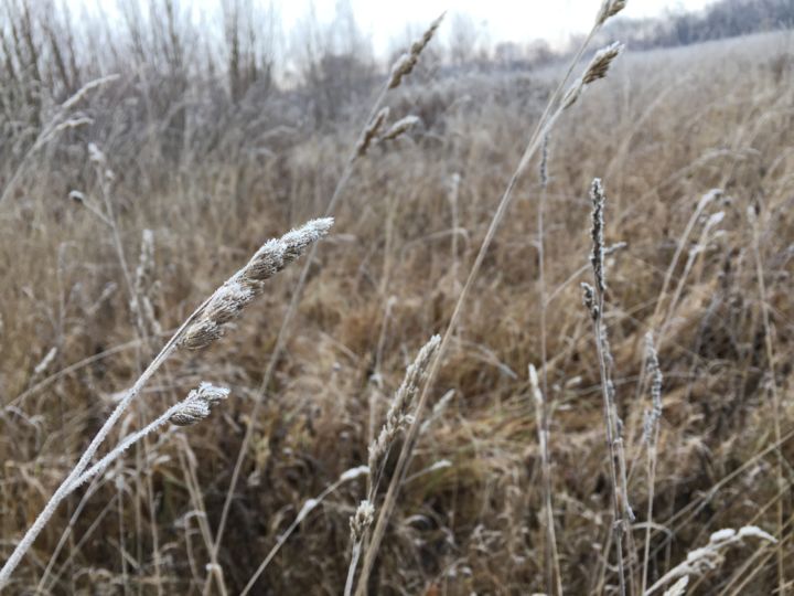 Фотография под названием "img-0496.jpg" - Rennis, Подлинное произведение искусства