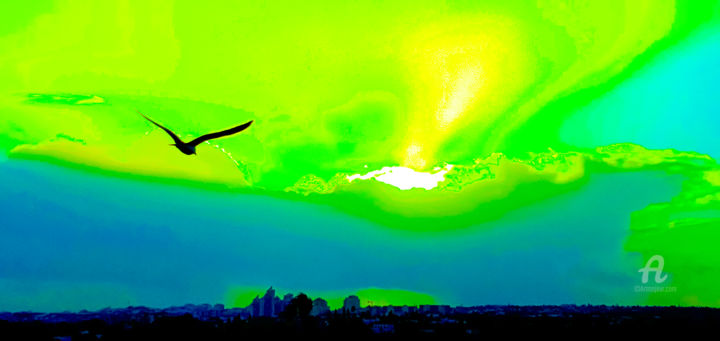 Photographie intitulée "SUNSET with Bird in…" par Idaver / Idawer, Œuvre d'art originale, Photographie numérique