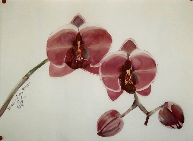 "The branch of orchid" başlıklı Tablo Indira Yartsev tarafından, Orijinal sanat, Petrol